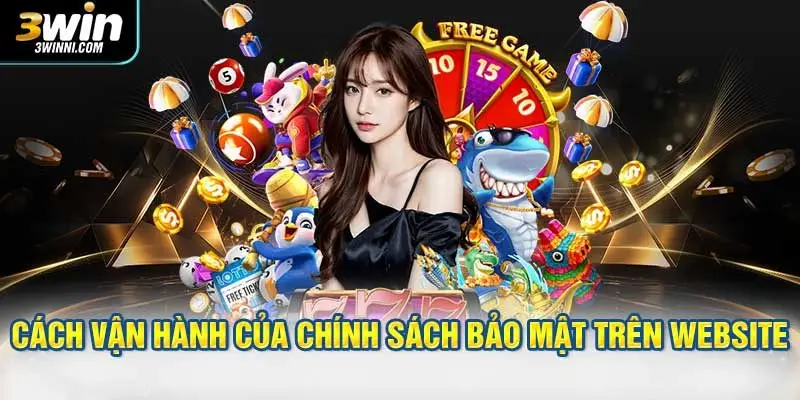 Cách vận hành của chính sách bảo mật trên website