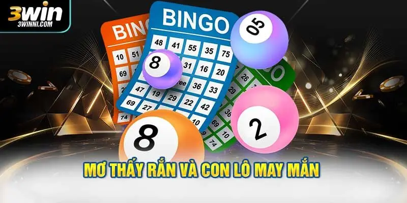 Mơ thấy rắn và gợi ý con lô may mắn từ chuyên gia lô đề