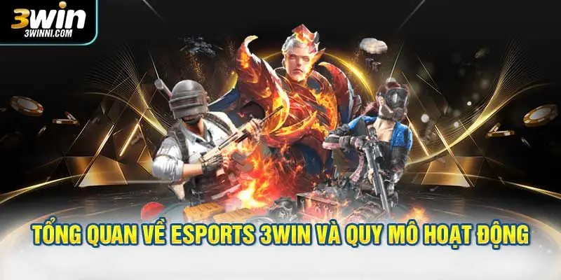 Tổng quan về esports 3WIN và quy mô hoạt động